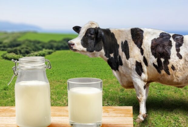 食生活について　７　（牛乳）のイメージ画像