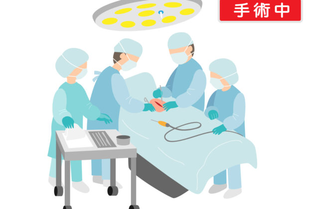 手術の瘢痕（傷あと）のイメージ画像