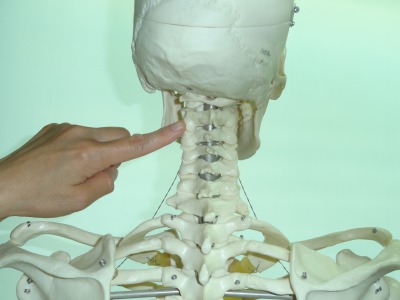 首が回らない！（物理的に）のイメージ画像