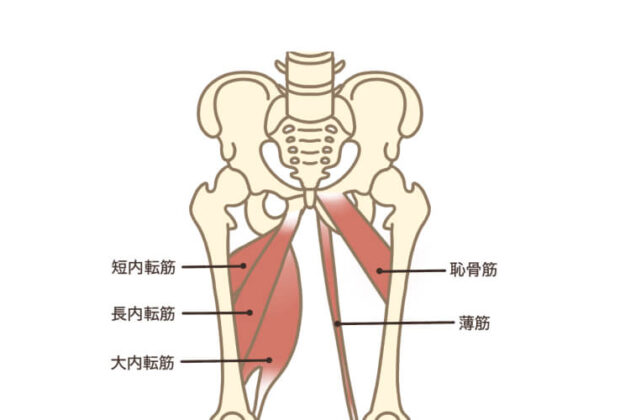 内ももの痛み。のイメージ画像