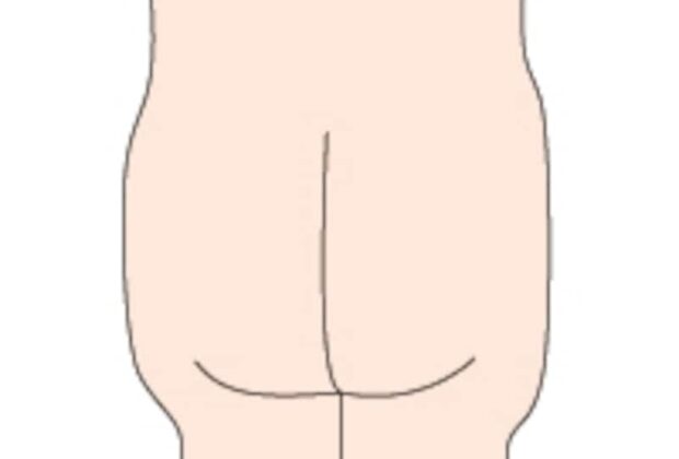 丸いお尻と四角のお尻♡のイメージ画像