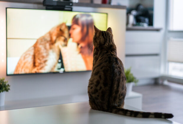 TVの位置は？のイメージ画像