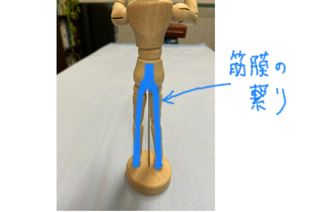 変形性膝関節症の始まり…膝裏の張り。のイメージ画像