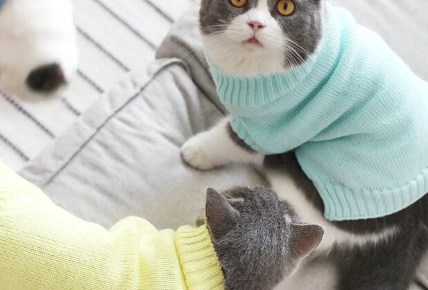 全ての疾患には原因が存在する。のイメージ画像