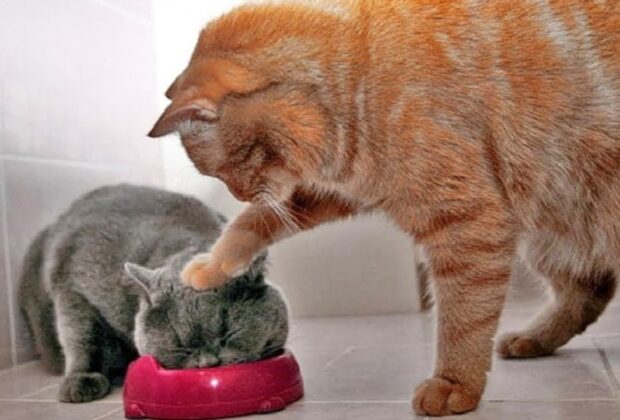 当院の経営理念（チョット堅苦しいですが）のイメージ画像