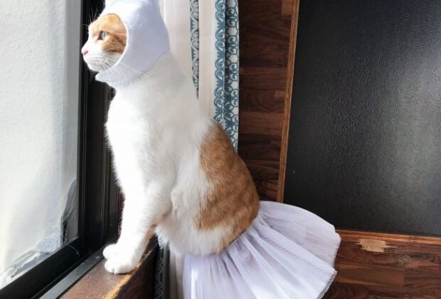 本当に怖いのは慢性痛。のイメージ画像