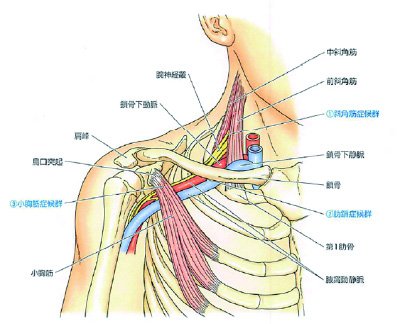 指先が冷たい。のイメージ画像