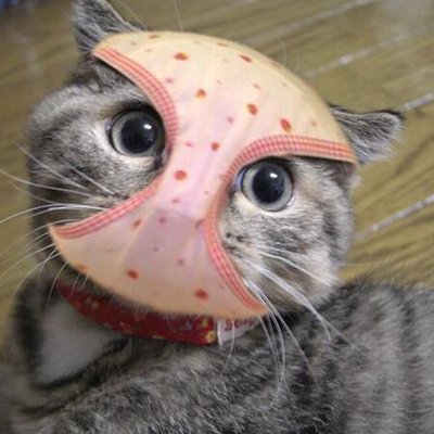 椎間板ヘルニア？のイメージ画像