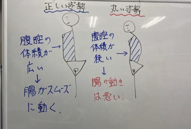 便秘と姿勢のイメージ画像