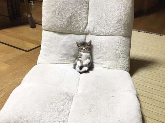 絶対NG！の姿勢のイメージ画像