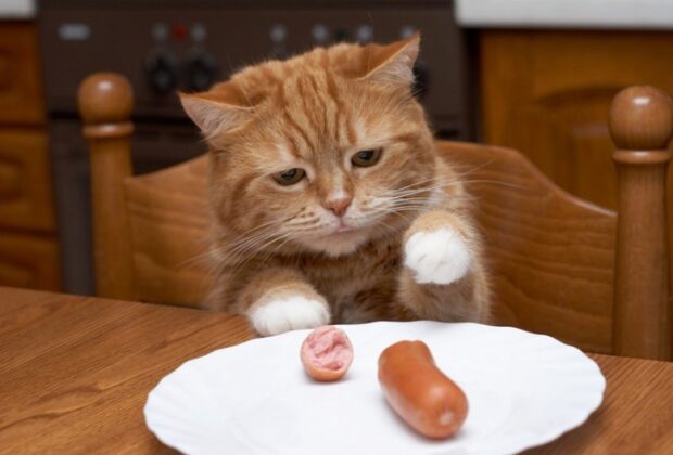 知っいて損にならない事。のイメージ画像