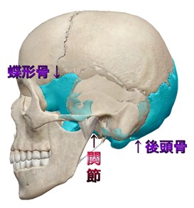 目の奥の痛みのイメージ画像