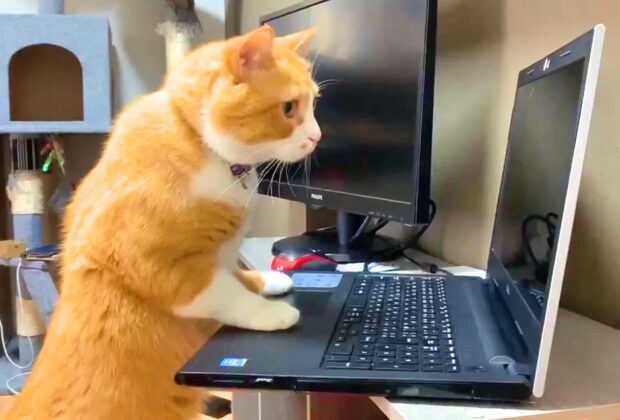 治療法は星の数ほどありますが・・・。のイメージ画像