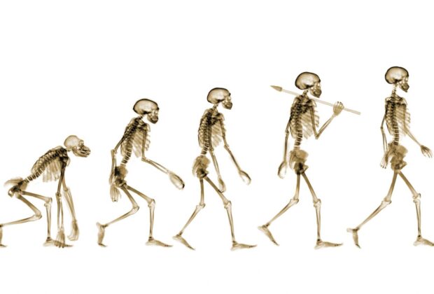 いつまでも人に頼らず自分の足で歩く為に。のイメージ画像