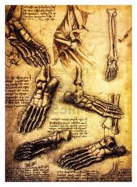 足は人間工学上、最大の傑作であり、そしてまた最高の芸術作品である。のイメージ画像