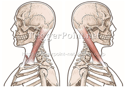 めまいのイメージ画像