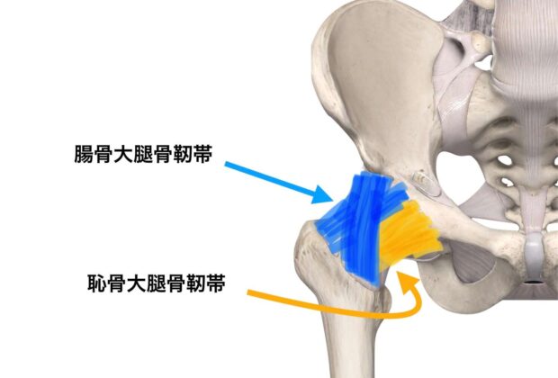 トボトボ歩きにならない為にのイメージ画像
