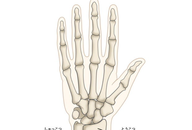 手を着いた時の手首の痛みのイメージ画像