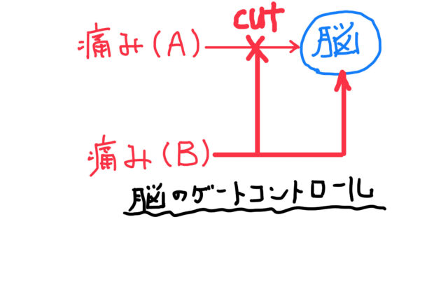 不幸中の幸せのイメージ画像