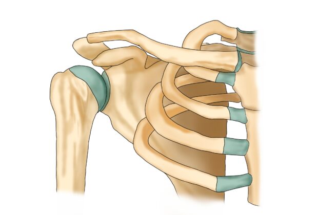 肩の痛み（腕を動かす痛み）は全身の問題のイメージ画像