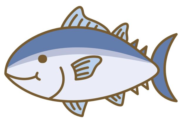大型魚（鯨、マグロ、カジキ、ブリ等）の水銀問題。のイメージ画像