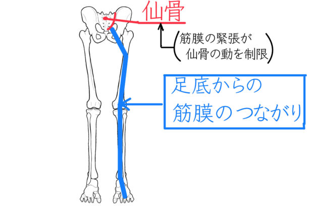 S様70代女性　原因不明の腰の痛みのイメージ画像