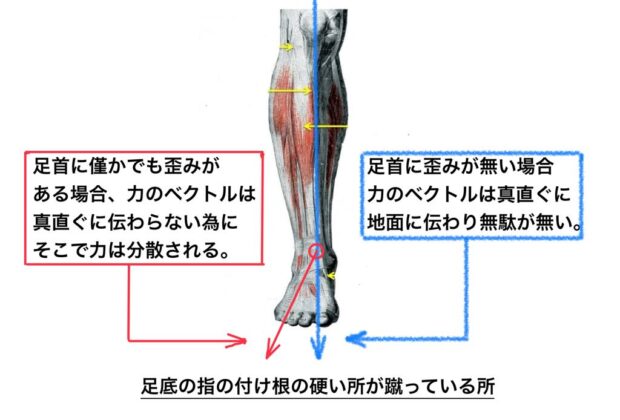 パワーをロスなく地面に伝える為にのイメージ画像